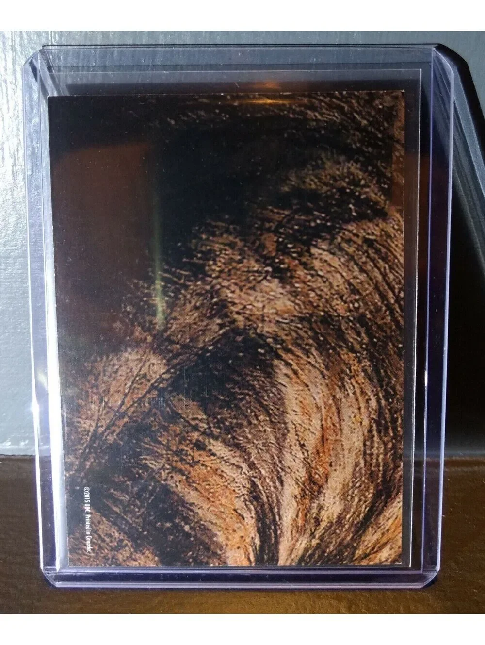 2015 Upper Deck Dinosaurs Brachiosaurus #S-9 Trading Sticker Card